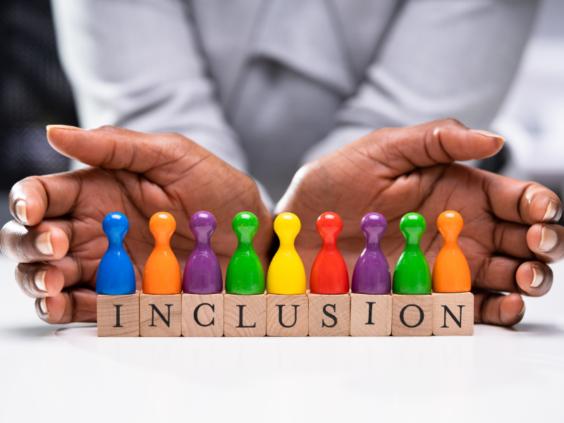 inclusion